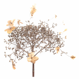 Anja_03_20230203_Wabisabi_4321-bewerkt