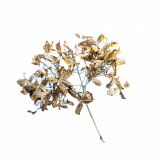 Anja_04_20230205_Wabisabi_4338