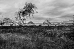 2024_Kootwijkerzand_fc_OIJ-45