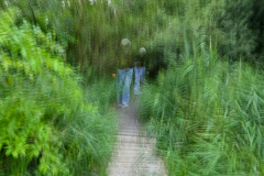 01-Annelize-beweging