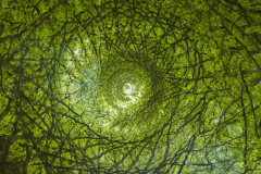 2025_kaleiscoop_01_IMG_7753