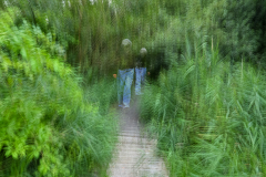 01-Annelize-beweging