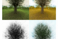 05-Annelize-beweging