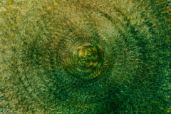 20A0637_2-multiple_Exposure_Kaleidoscope