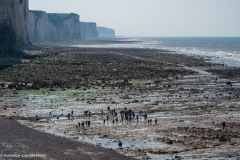 494074123_122219949626193219_151294112779635049_n