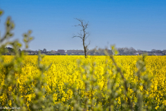 494692034_122219949926193219_6384546612217290827_n