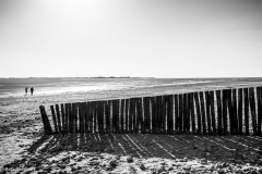 495035091_122219950088193219_5030788877632094438_n