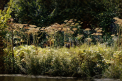 2025_Marly_Ulft_04-2