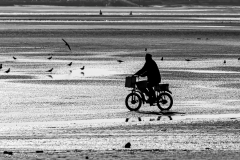 1_494285688_122219461586193219_9140006139547113373_n