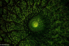 494481290_122221704284193219_6408668497291143481_n