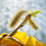 495686499_122221704704193219_7377957276862456207_n