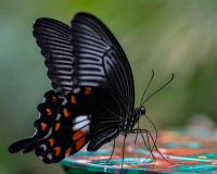 20190321_Fotoclub_-anja_2