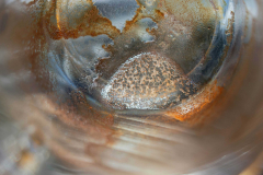 2025_Lamar_portfolio_close_up_macro_01_WEB06-793