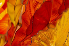 2025_kunstzinnig-klonen-WEB-02-