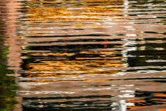Abstract Anja