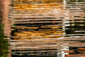 Abstract Anja