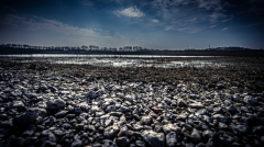 20210324_Nieuwe-Driemanspolder_5193-scaled