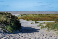 20200917_Schiermonnikoog_4019