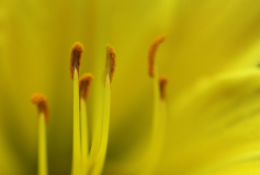 Stampers_MG_5356_web-scaled