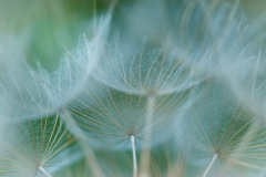 20170608_Fotoclub_Westerpark_MG_9925_Expositie-30x45-incl-kleurprofiel-scaled