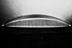 36-Architectuur-Valencia-Calatrava-36