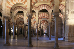 P1007664