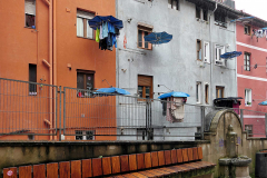 P1042258_web