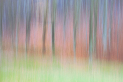 IMG_8671_Sonsbeek_Arnhem_ICM