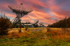 Anja-20241031_Drenthepad_5794