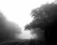 Arthur_IMG_085956_herfst_Ellecom_BW