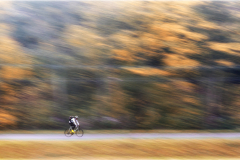 IMG_4995_1_met_fiets