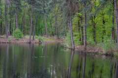 21-Landschap-Oisterwijk-21_vs3