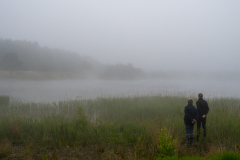 24-Landschap-Terschelling-24
