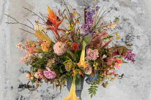 Close-up en Macro Marly