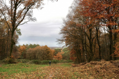 204_Bergherbos_2622