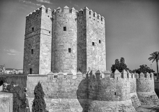 Leonie_WEB_Reizen_ZW_6045