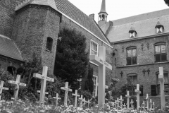 Leonie_Mojos-Cemetery-Web