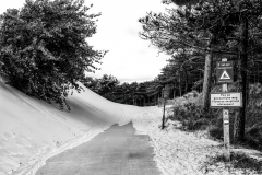 01-Annelize-landschap