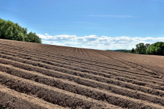 04-Dick_landschap_mei-2025