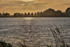 2025_THEMA_landschap_marly_mei_bewerkt-29