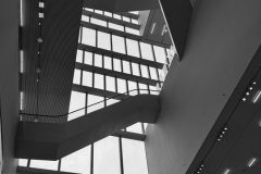 IMG_1939